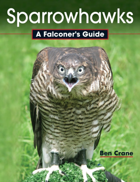 Sparrowhawks By Crane, Ben