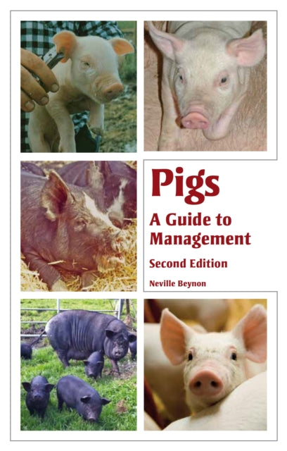 Pigs A Guide To Management