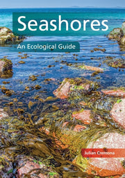 Seashores An Ecological Guide