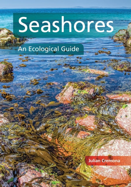 Seashores An Ecological Guide