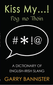 Kiss My Dictionary Of English/irish Slan By Bannister, Garry