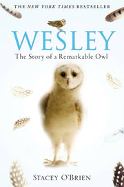 Wesley The Remarkable Story Of An Owl By O'brien, Stacey