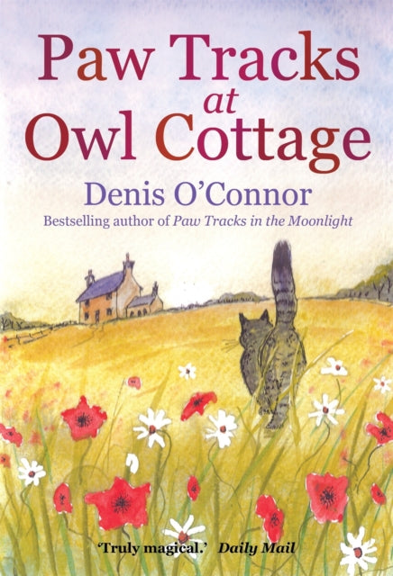 Paw Tracks At Owl Cottage