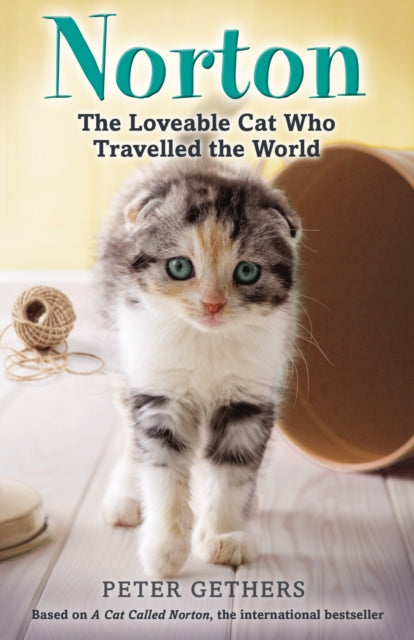 Norton The Loveable Cat Who Travelled Th