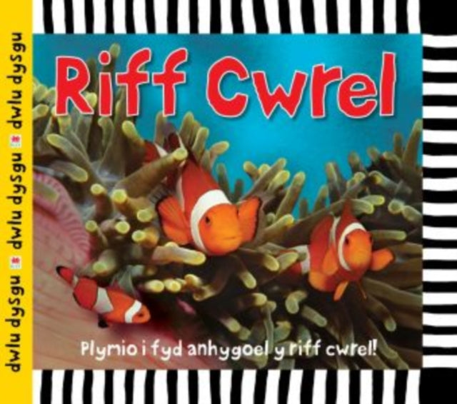 Cyfres Dwlu Dysgu Y Creigresi Cwrel