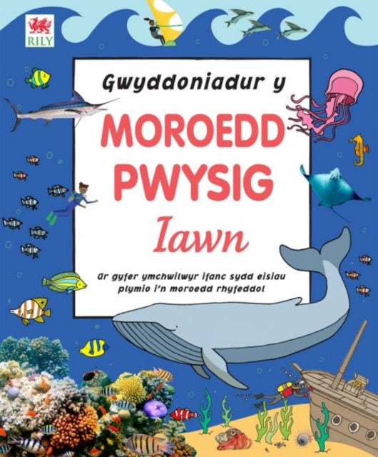 Gwyddoniadur Y Moroedd Pwysig Iawn By Lewis,si N