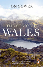 Story Of Wales By Gower, Jon