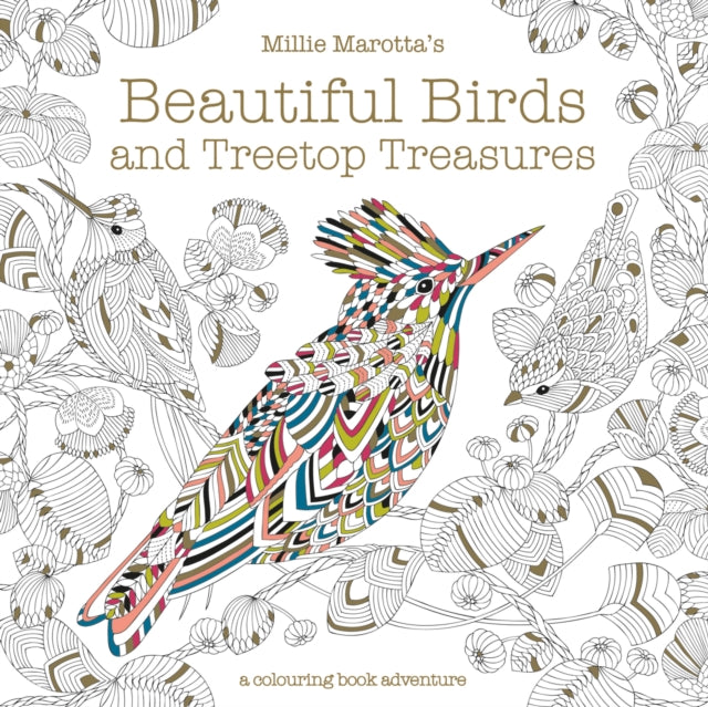 Millie Marottas Beautiful Birds