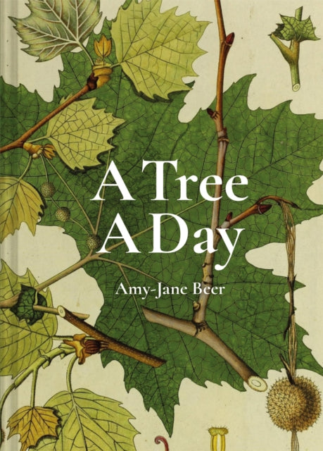 Tree A Day