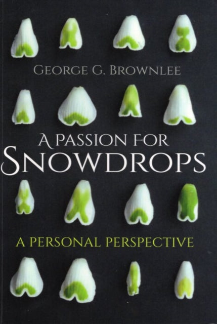 Passion For Snowdrops