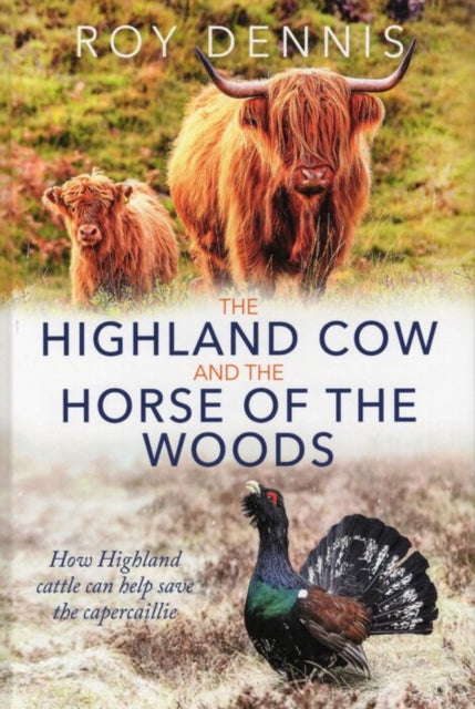 Highland Cow & The Horse Of The Woods By Dennis, Roy