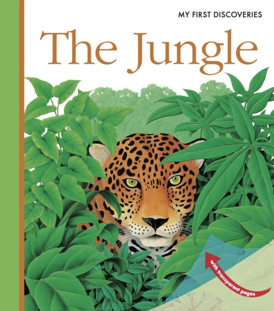Jungle The First Discoveries Board