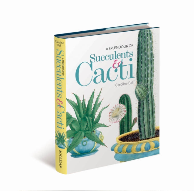 Splendour Of Succulents & Cacti