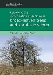 Broad Leaved Trees And Shrubs In Winter