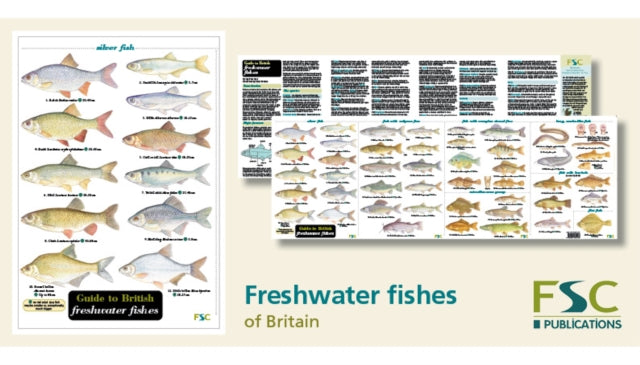 Guide To British Freshwater Fishes By Unknown