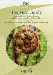 Fern Guide: A Field Guide To The Ferns,