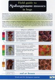 Sphagnum Mosses By Unknown