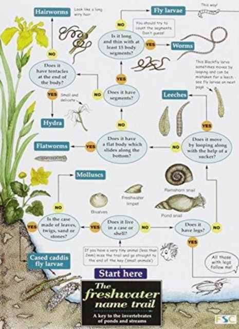 Freshwater Name Trial
