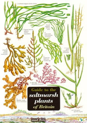 Saltmarsh Plants