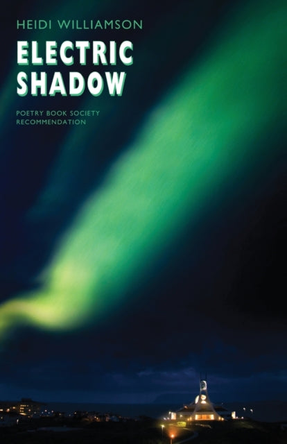 Electric Shadow