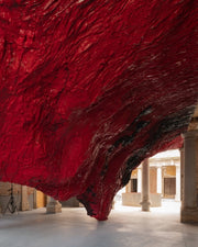 Anish Kapoor By Ralph Rugoff  Julia