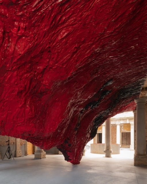 Anish Kapoor By Ralph Rugoff  Julia