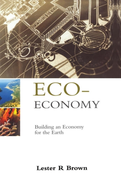 Eco-economy: Building An Economy For The