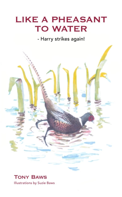 Like A Pheasant To Water By Baws, Tony