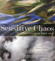 Sensitive Chaos:the Creation Of Flowing
