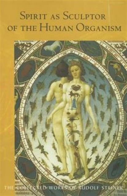 Spirit As Sculptor Of The Human Organism By Steiner, Rudolf