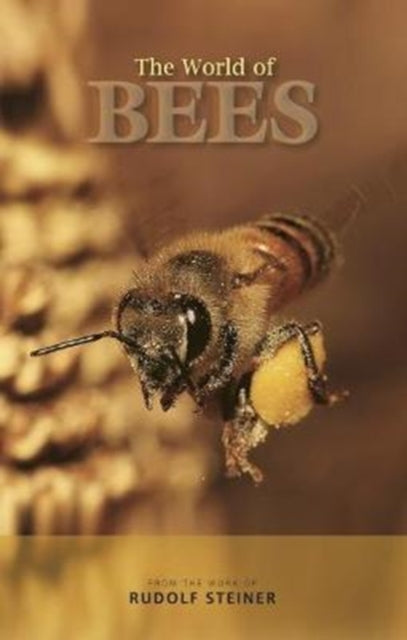 World Of Bees