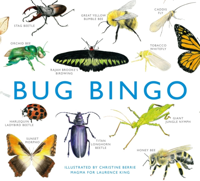 Bug Bingo By Berrie, Christine