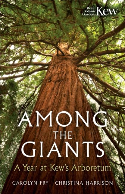 Among The Giants