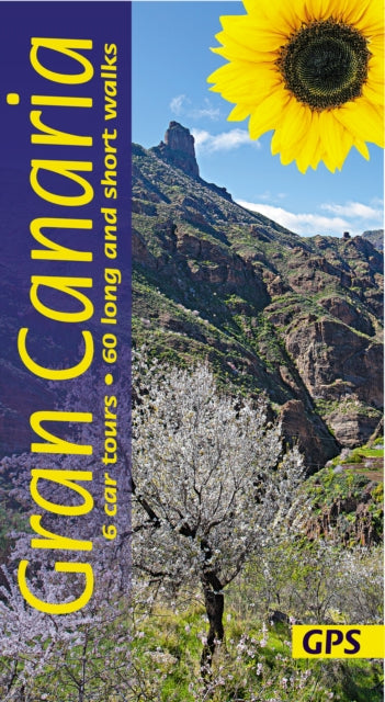 Gran Canaria Car Tours & Walks