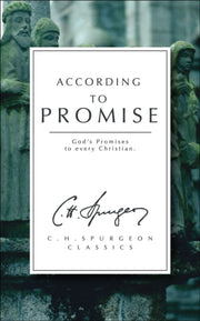 According To Promise