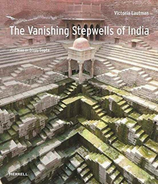 Vanishing Stepwells Of India