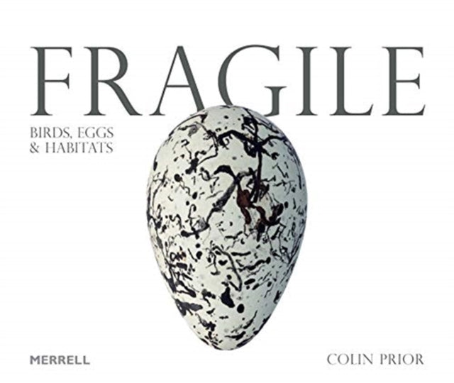 Fragile: Birds Eggs & Habitats