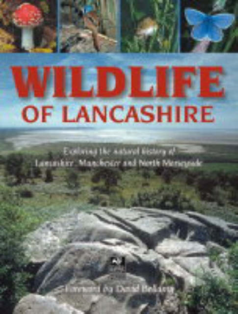 Wildlife Of Lancashire