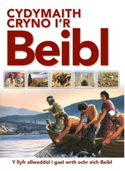 Cydymaith Cryno Ir Beibl
