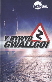 Bywyd Gwallgo Y