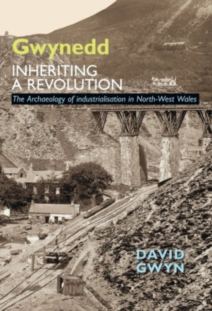 Gwynedd Inheriting A Revolution By David Gwyn