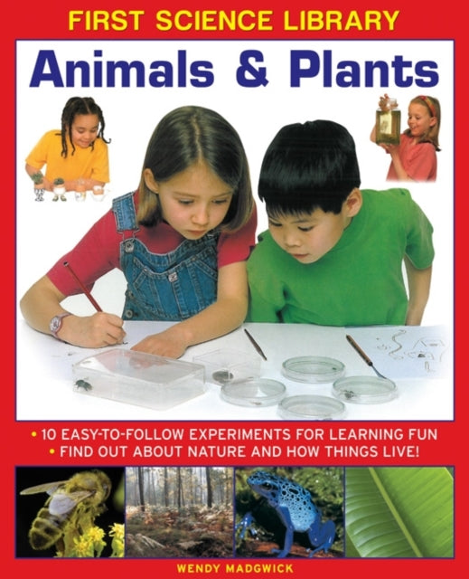 Animal & Plants By Madgwick, Wendy