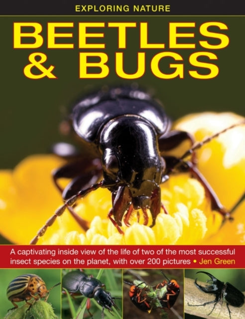 Beetles & Bugs
