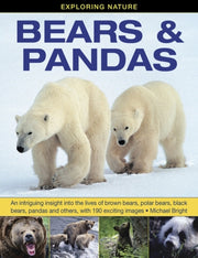 Bears & Pandas