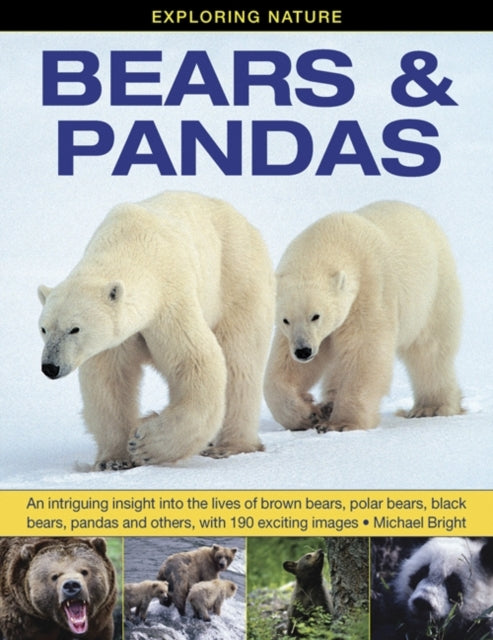 Bears & Pandas