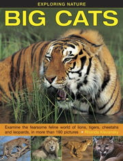 Big Cats