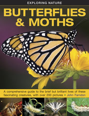 Butterflies & Moths