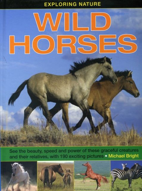 Wild Horses By Bright, Michael