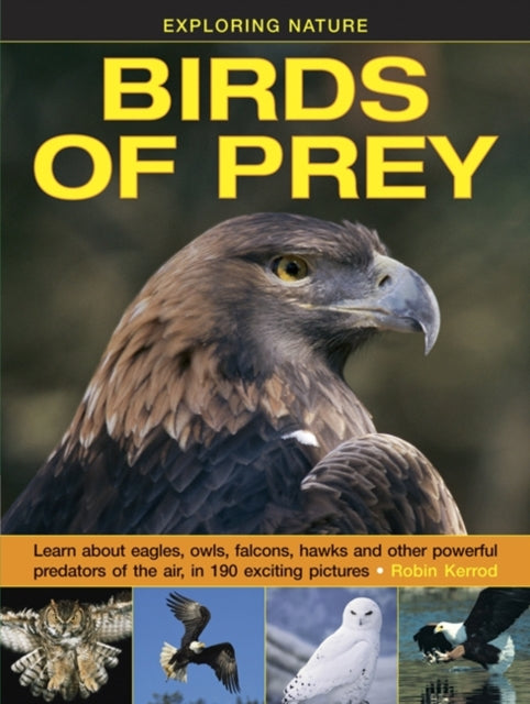 Birds Of Prey