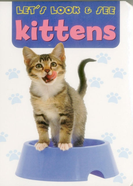 Kittens